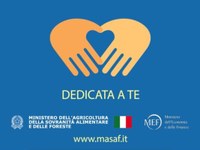 Carta "Dedicata a te" 2024: la graduatoria dei beneficiari