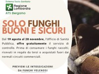 Solo funghi buoni e sicuri con il servizio di ispettorato micologico Ats