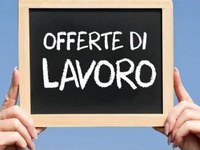 Sportello lavoro, le offerte di impiego attive sul territorio a Novembre